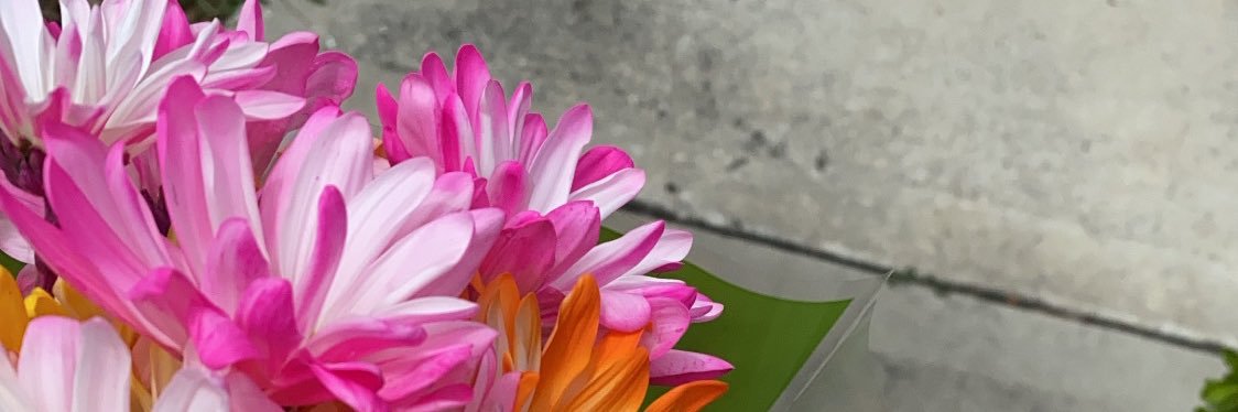N A E M🌻.. banner