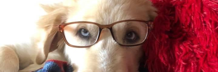megan_maxfield's profile banner image