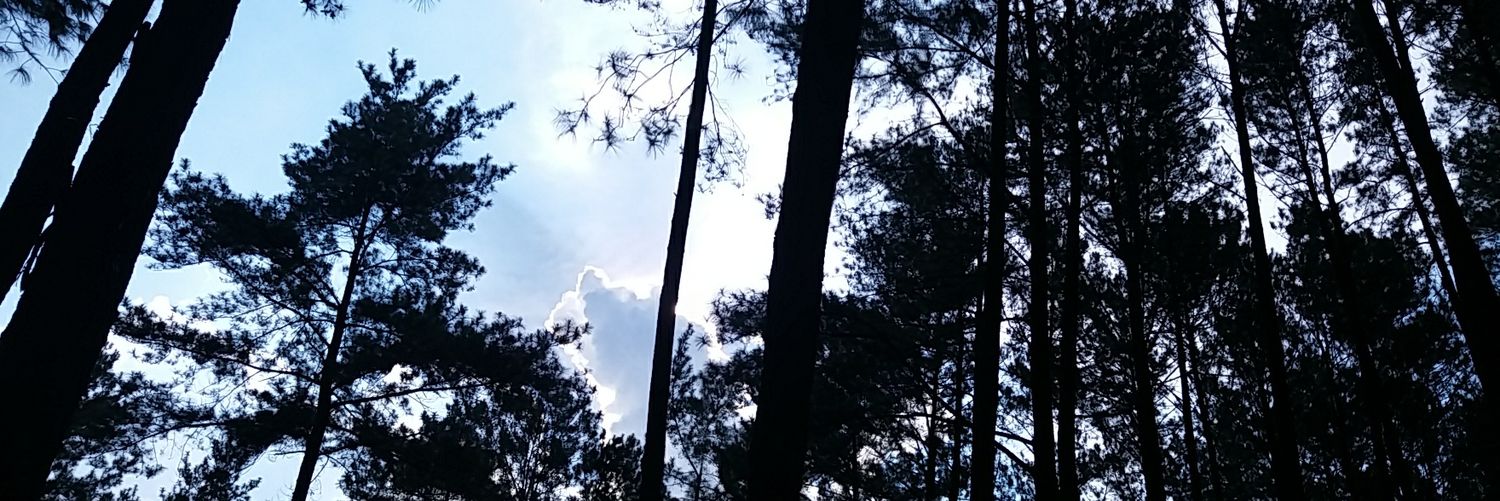 axkintan's profile banner image