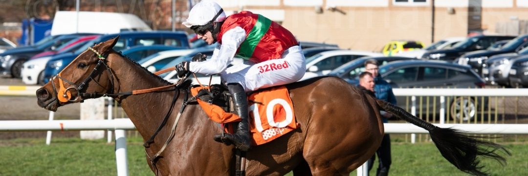 Alan Tobin / Longmeadow Stables banner