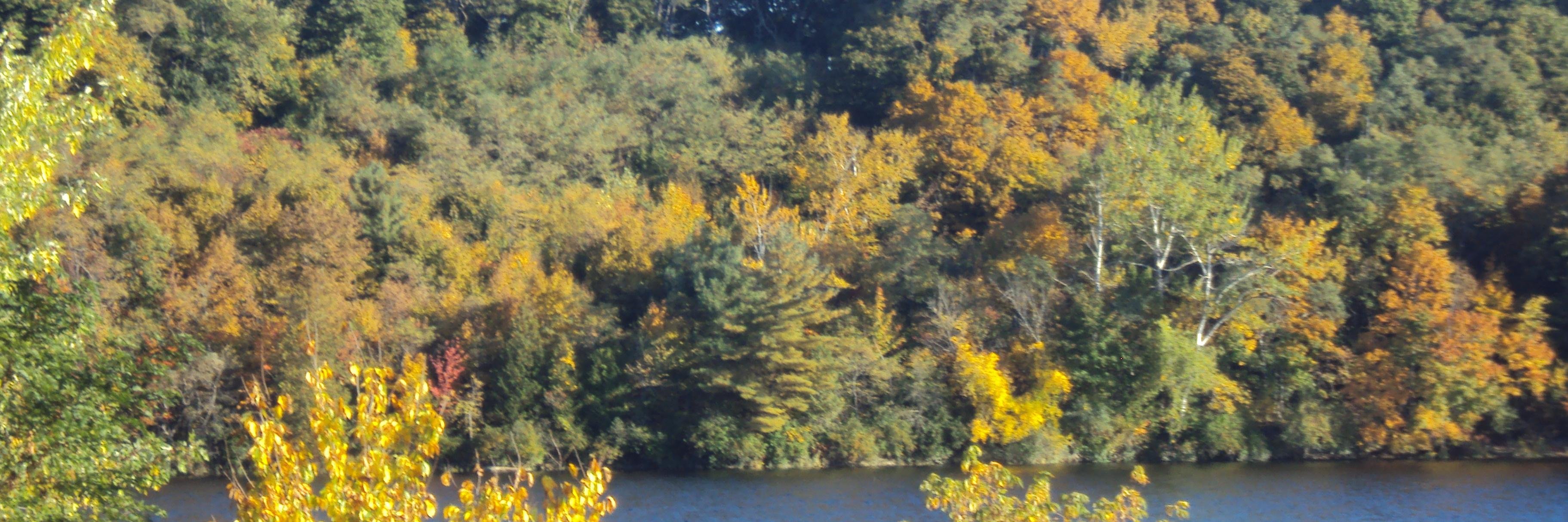 ravbill's profile banner image