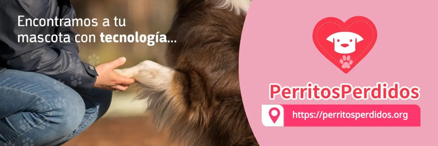 PPerdidosORG's profile banner image
