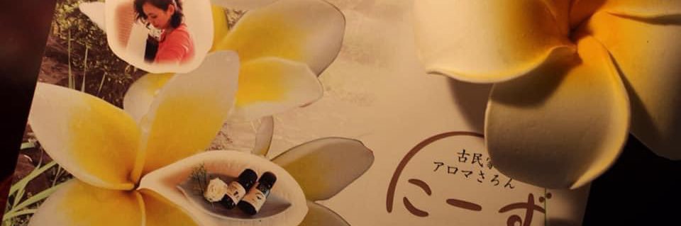 NYoshi2846's profile banner image