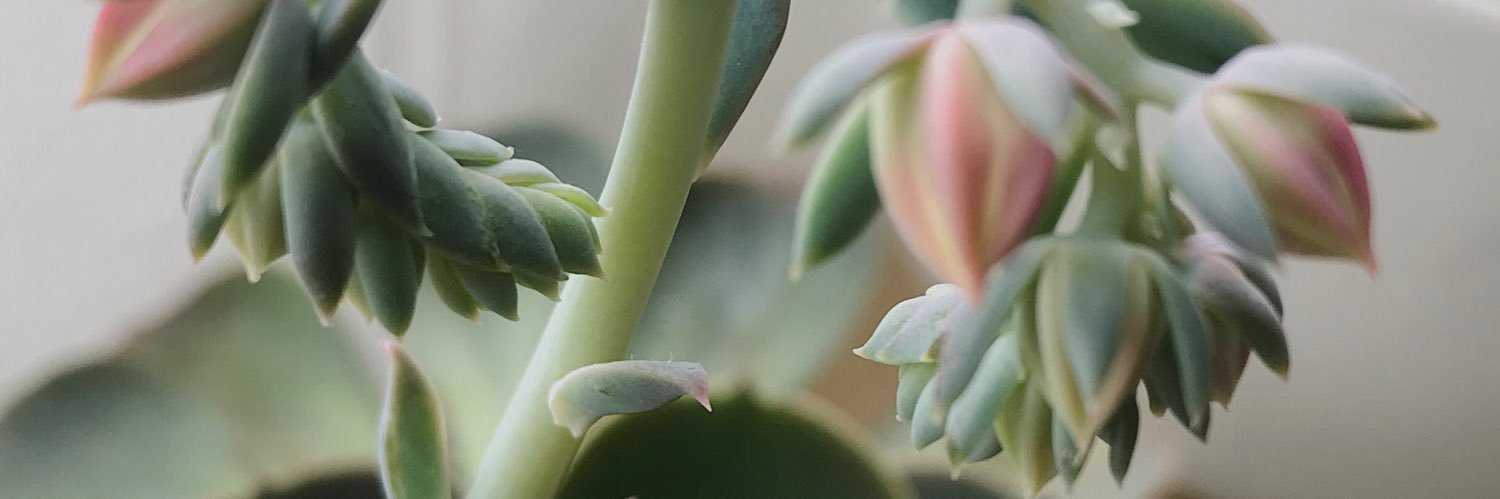 juamac's profile banner image
