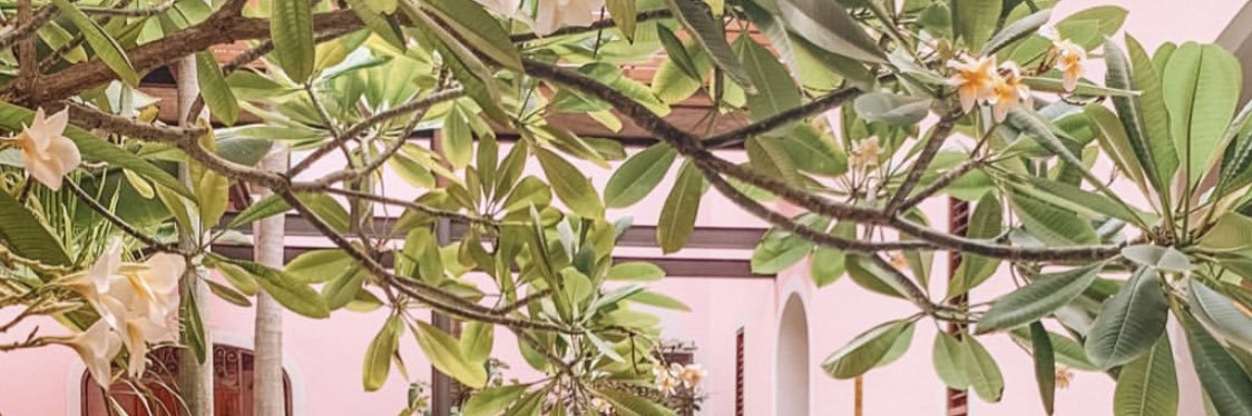 PrismaLizzee's profile banner image