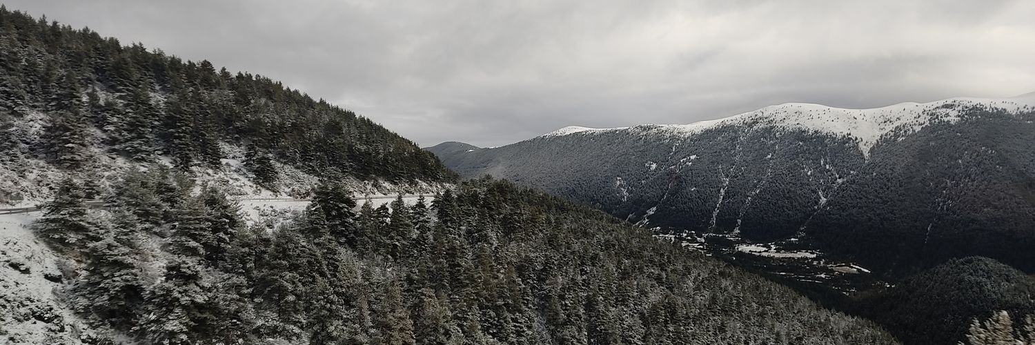 Janet Sánchez banner