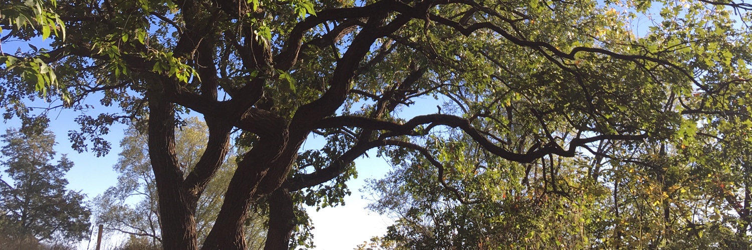 Karen Munchausen by proxy banner