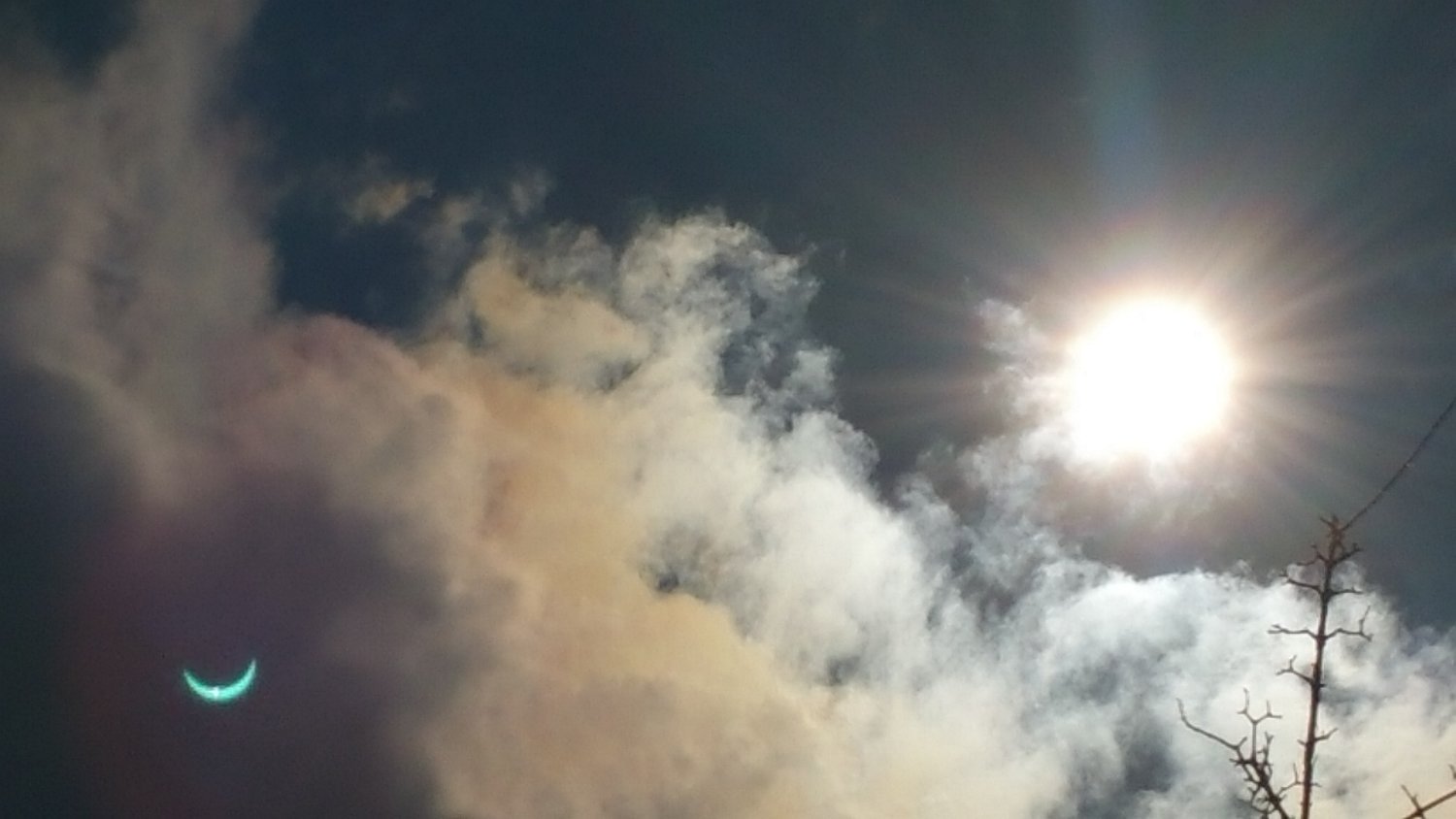 Kume Goranson, Ed.D. banner