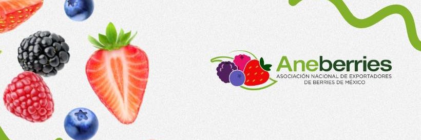 Aneberries banner