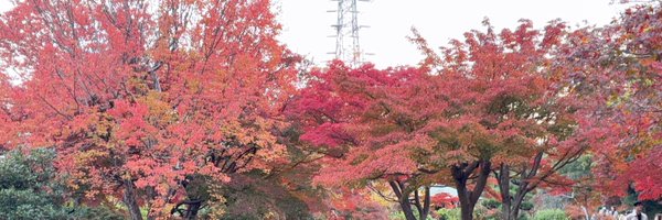 rabe_na2 Profile Banner