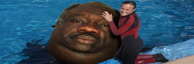 SparkisDad's profile banner image