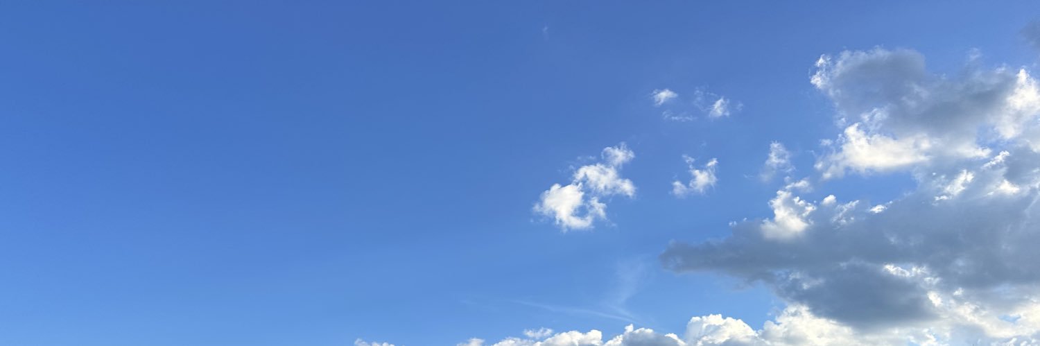 anellyfdez's profile banner image