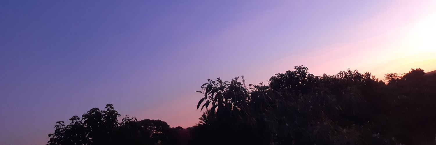 malucabrini's profile banner image