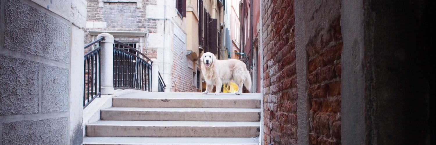 犬's banner
