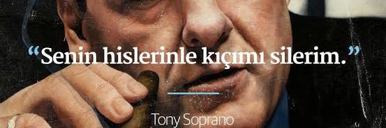 teddybrowski's profile banner image