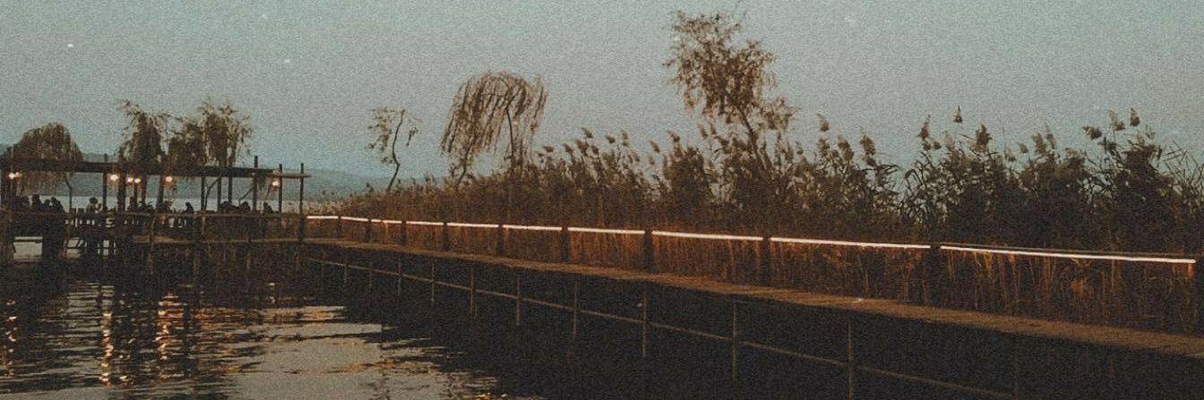 solviante's profile banner image
