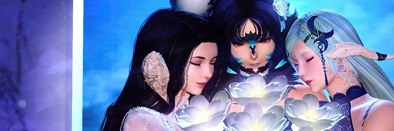 llamy's banner