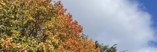 aishafrandall Profile Banner