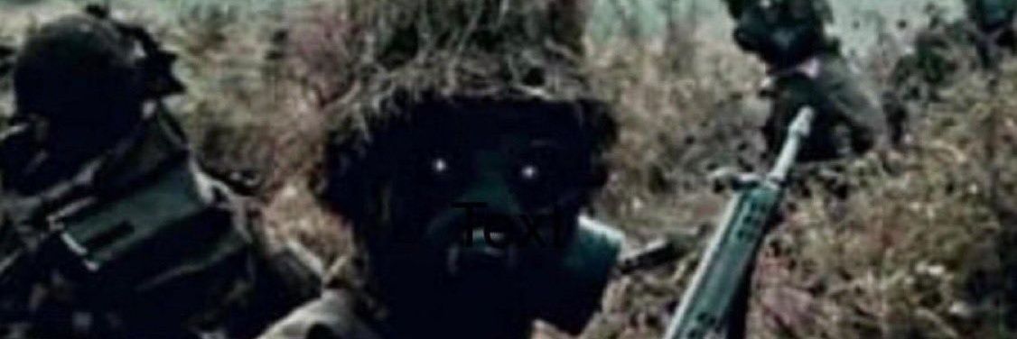 ErRorFoX 🇺🇸✝️ banner