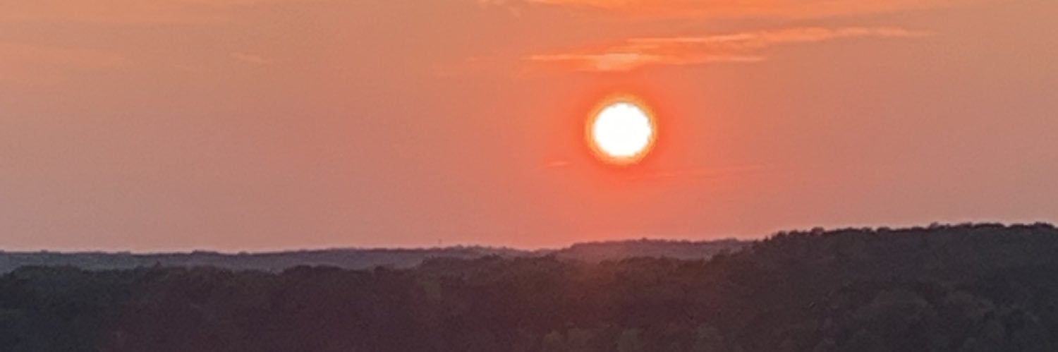 Patty Wanzer, CTS(r) banner