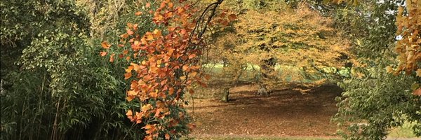 Rosekhatri Profile Banner