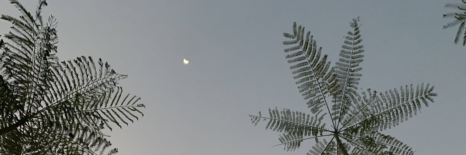 alferniar's profile banner image