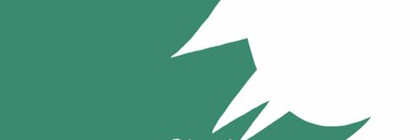 light_snow Profile Banner