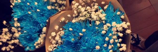 phajjer Profile Banner