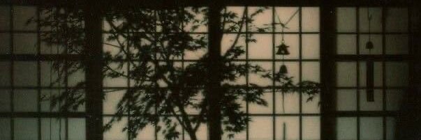 aiorganism's profile banner image