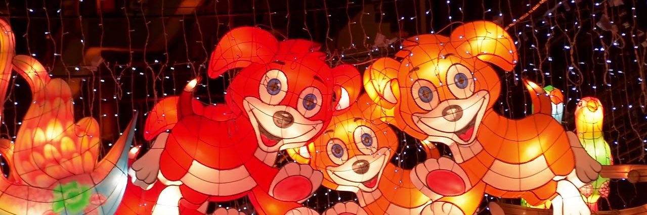 boroju_'s profile banner image