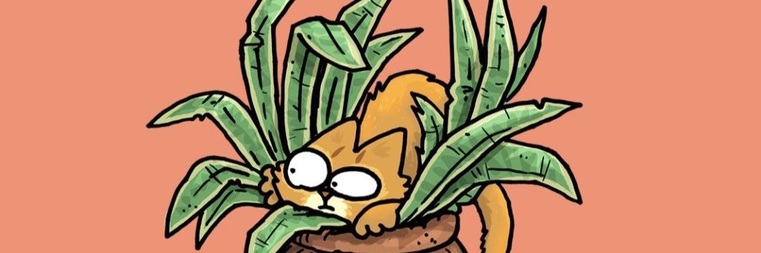 NoTeOlvides 🌼 ⭐⭐⭐ banner