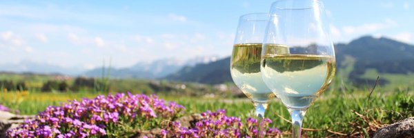 ampswines Profile Banner