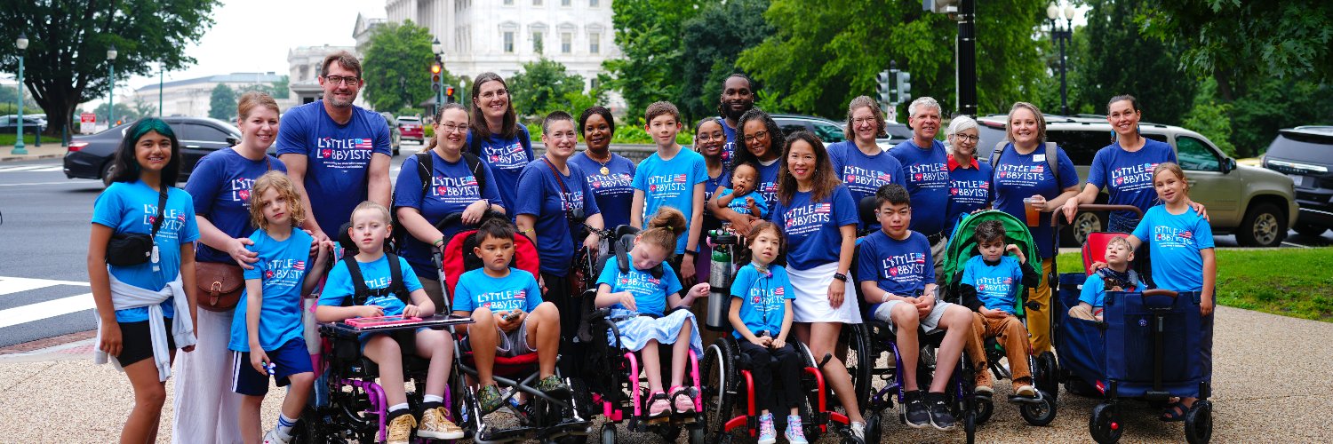 Little Lobbyists's banner