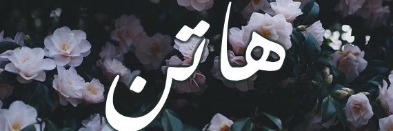 h9ll366's profile banner image