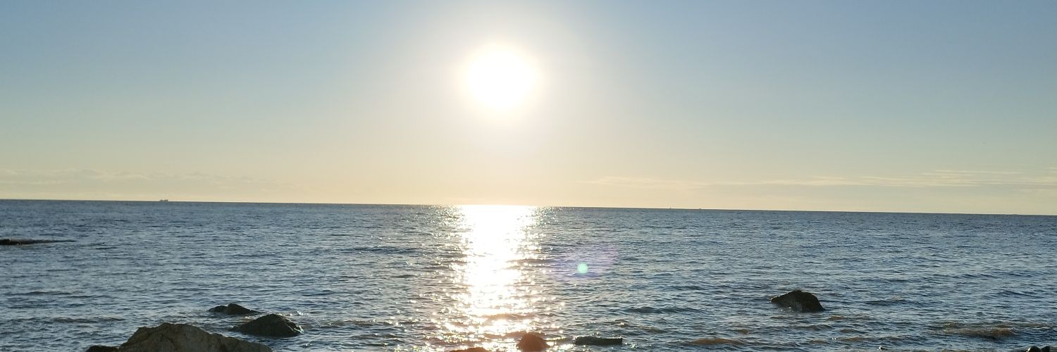 silvillanova's profile banner image