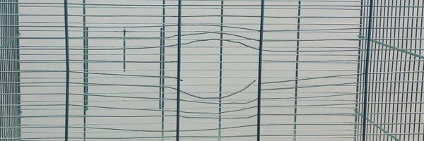 42punktcc Profile Banner