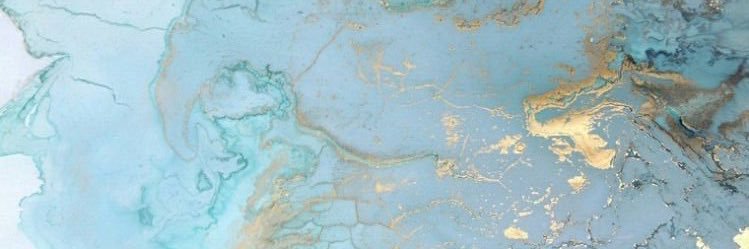 TSNetherlands_'s profile banner image