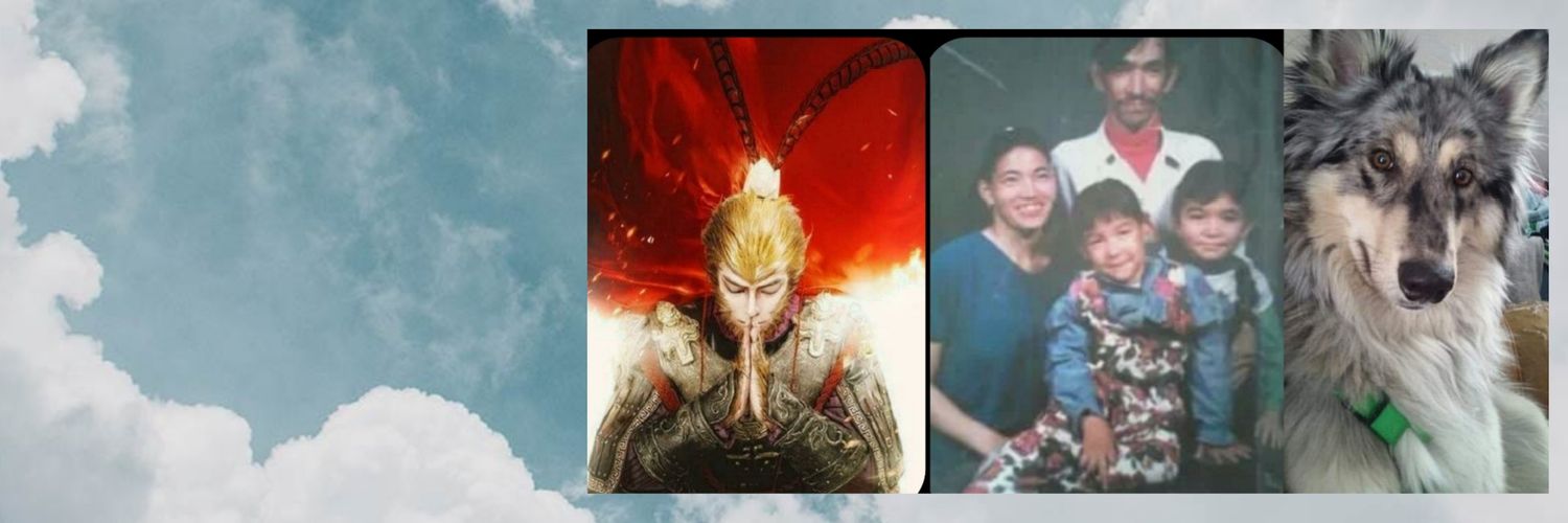 tania_corella's profile banner image