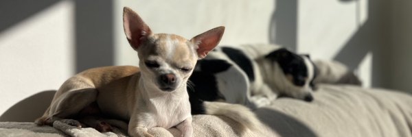 Cryptomaniac82 Profile Banner