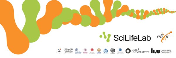 NBISwe Profile Banner