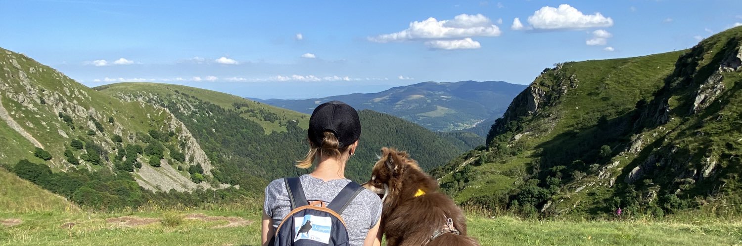 evaricelle's profile banner image