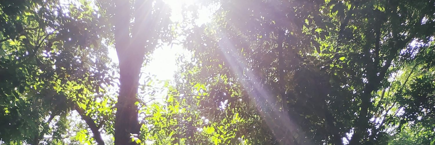 Scrappy0210's profile banner image