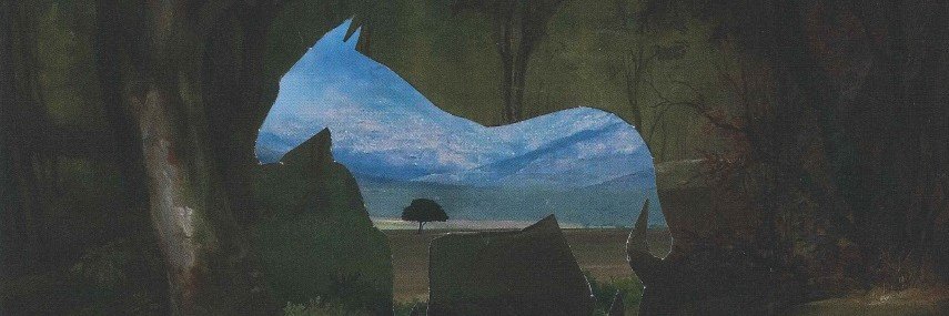 Image of the Zebra banner