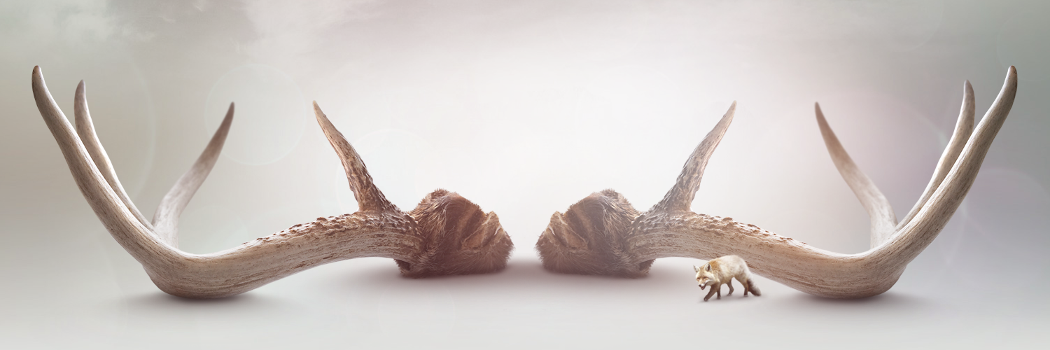 lagrange_mtl's profile banner image