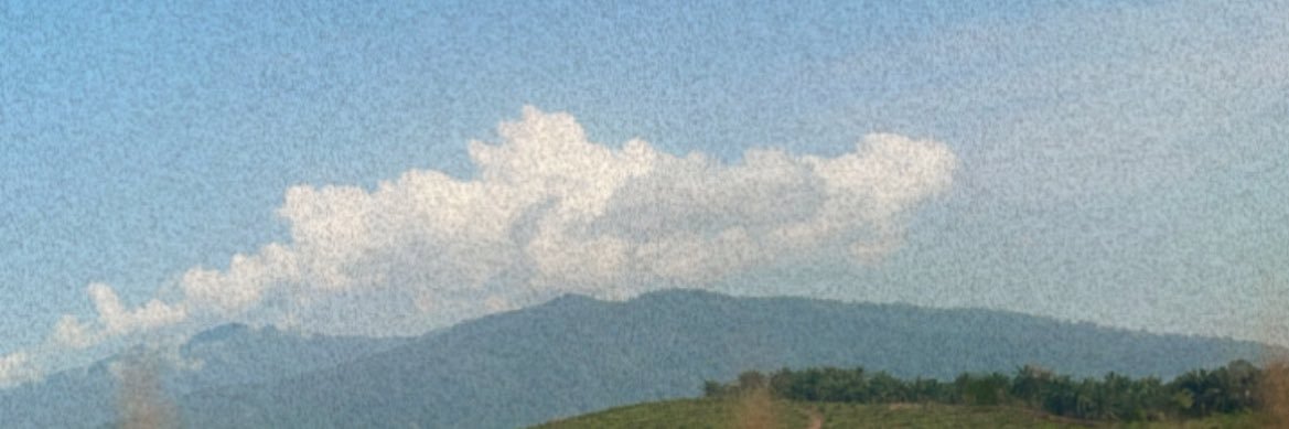 syamainee's profile banner image