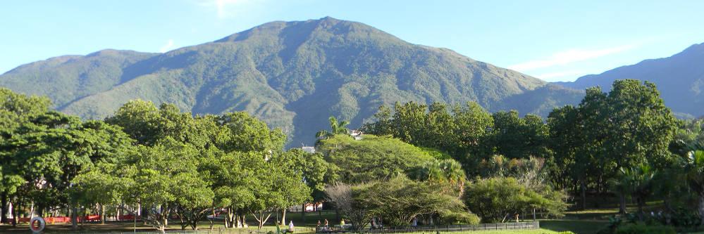 leninalfonso's profile banner image