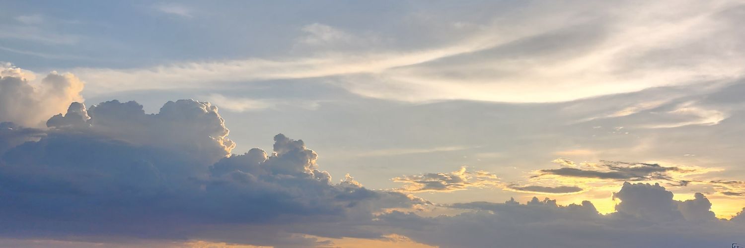 YanXue2003's profile banner image