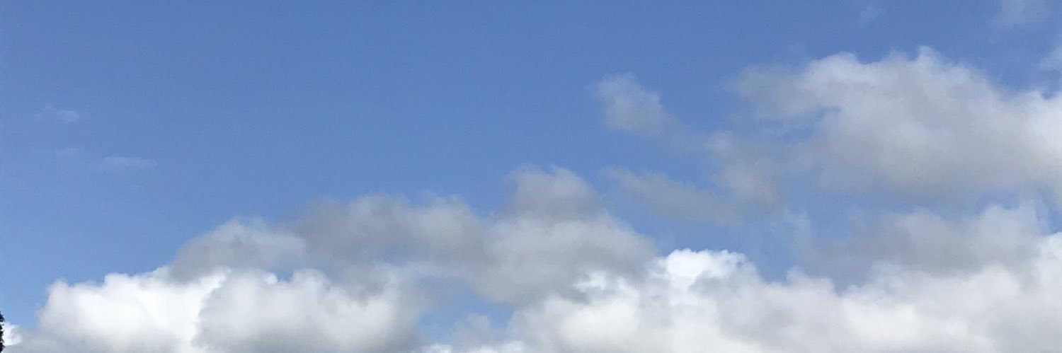 いつでも水無月 banner