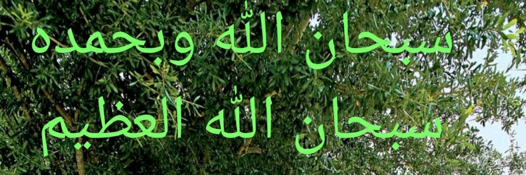 falah6881's profile banner image