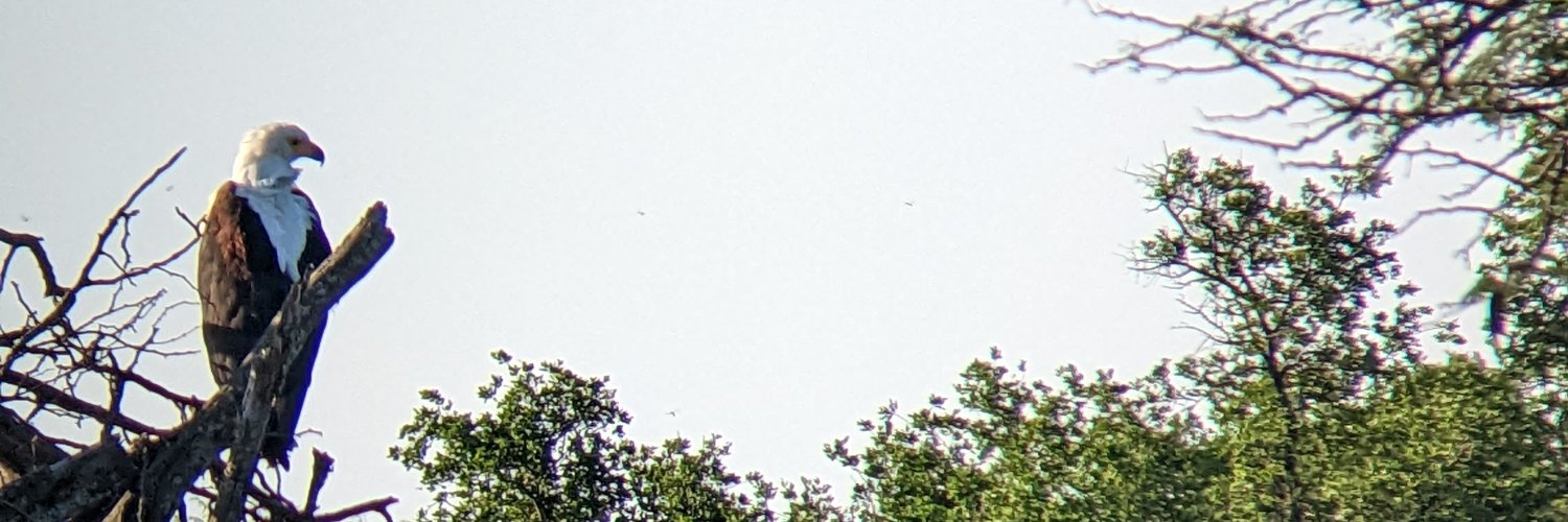 Pascale Lubbe banner